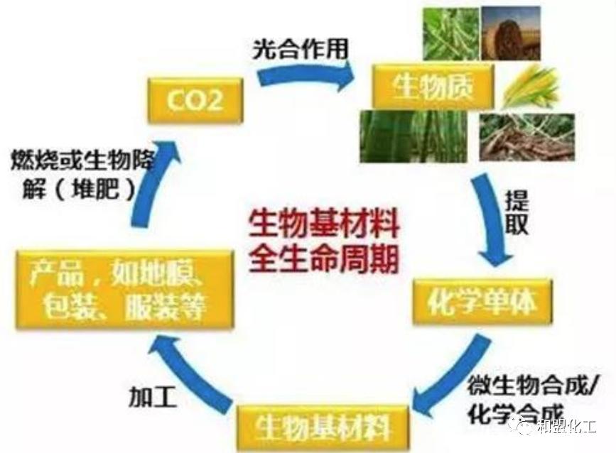 生物基材料正在全面替代传统石油基材料