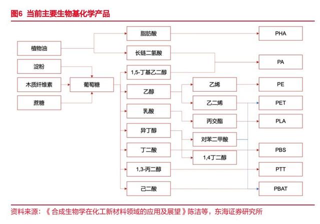 合成生物产业化加速,生物基材料有望推动化工行业绿色发展
